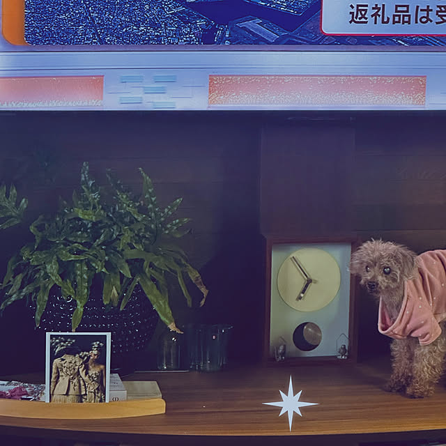chacoさんの実例写真