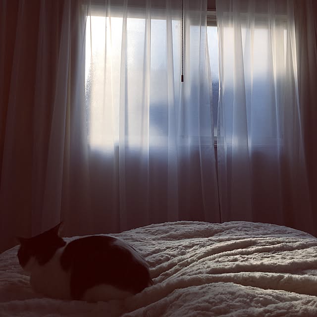 Shihoさんの実例写真