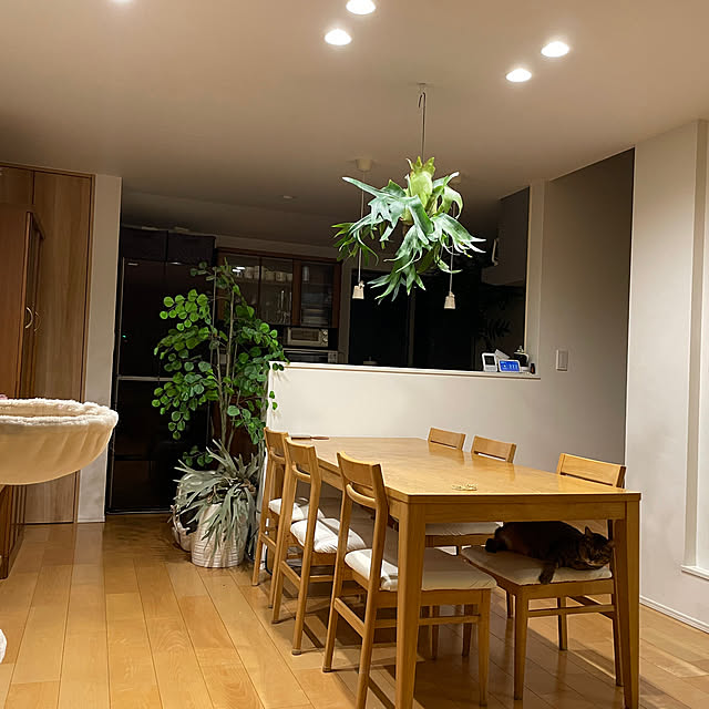 halさんの実例写真