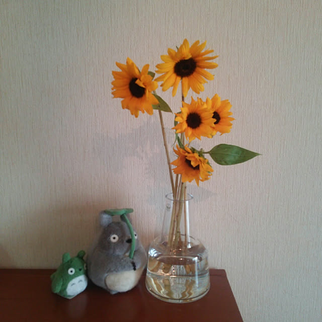 atsupoeさんの実例写真