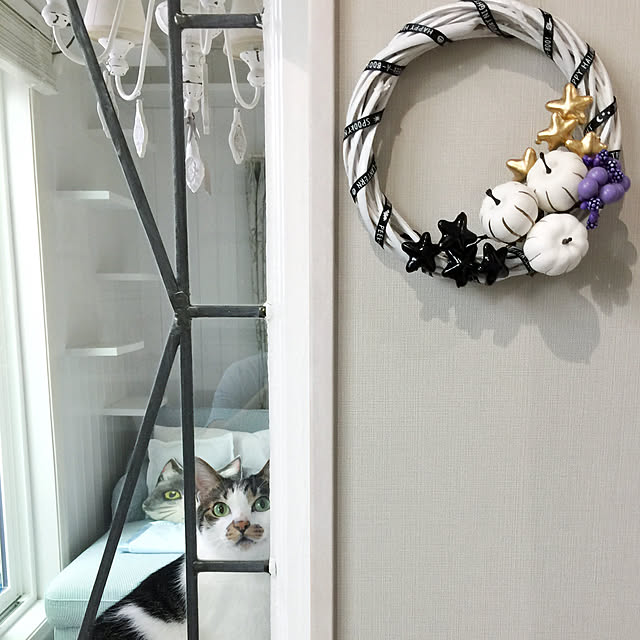 yuchiさんの実例写真