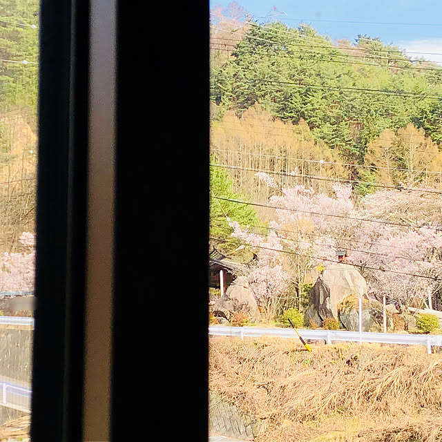 shirkさんの実例写真