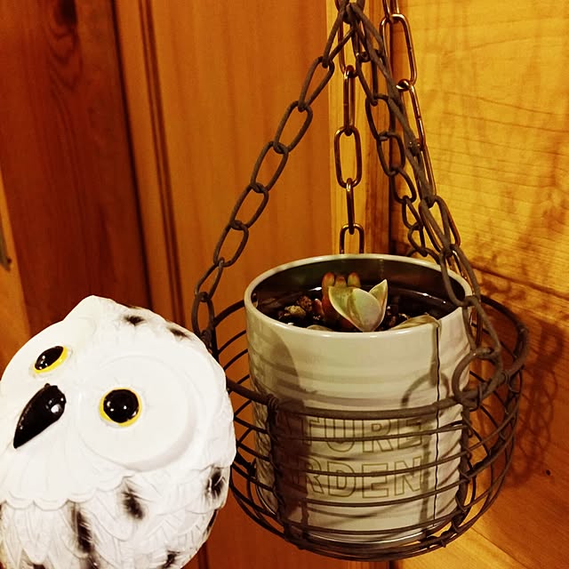 Rikiさんの実例写真