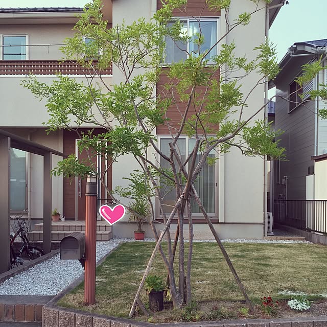 p-さんの実例写真