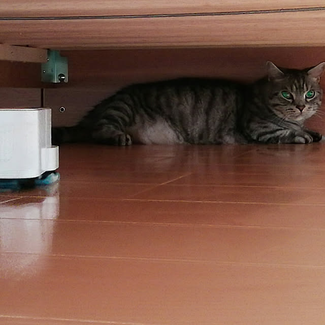 marutinoさんの実例写真