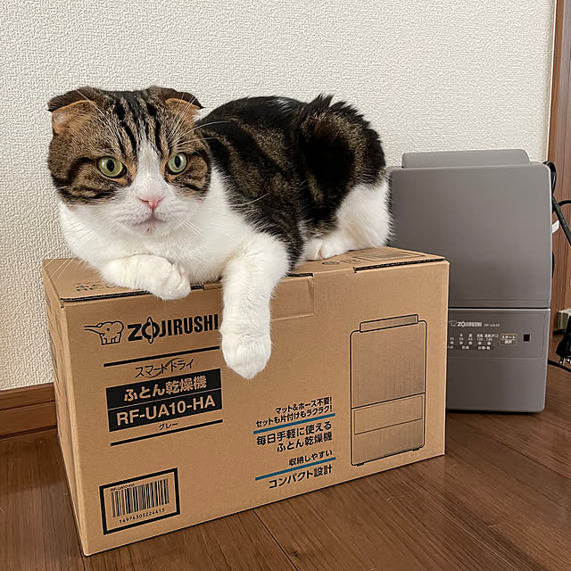 tansukeさんの実例写真