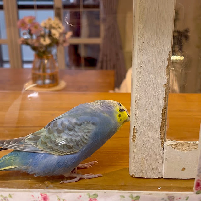 Atsukoさんの部屋