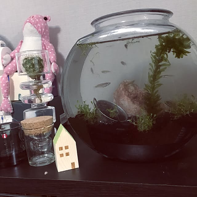 pirukuruさんの実例写真