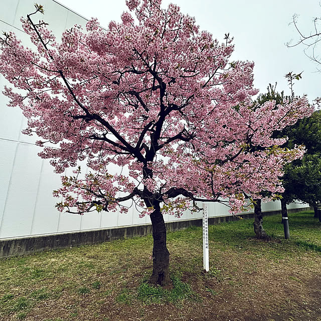 mizucchiさんの部屋