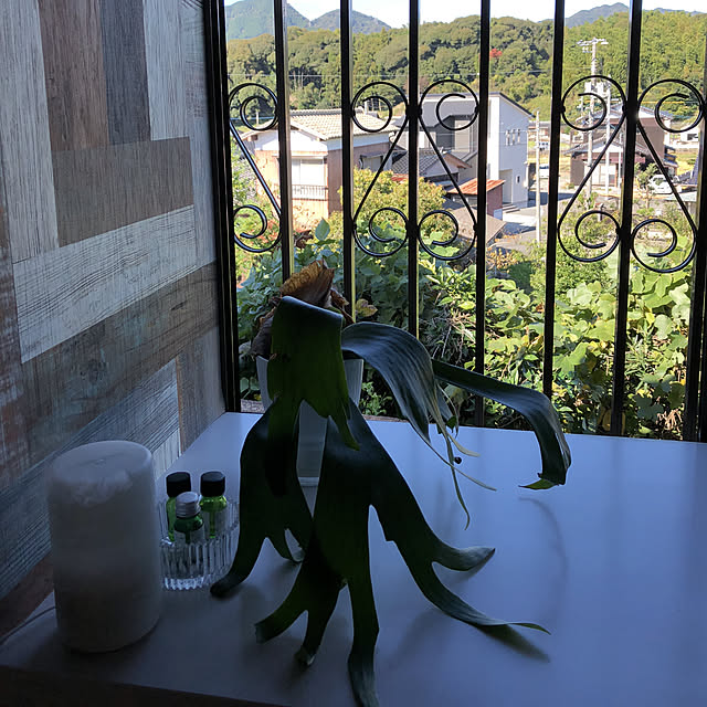 furuiouchiさんの実例写真