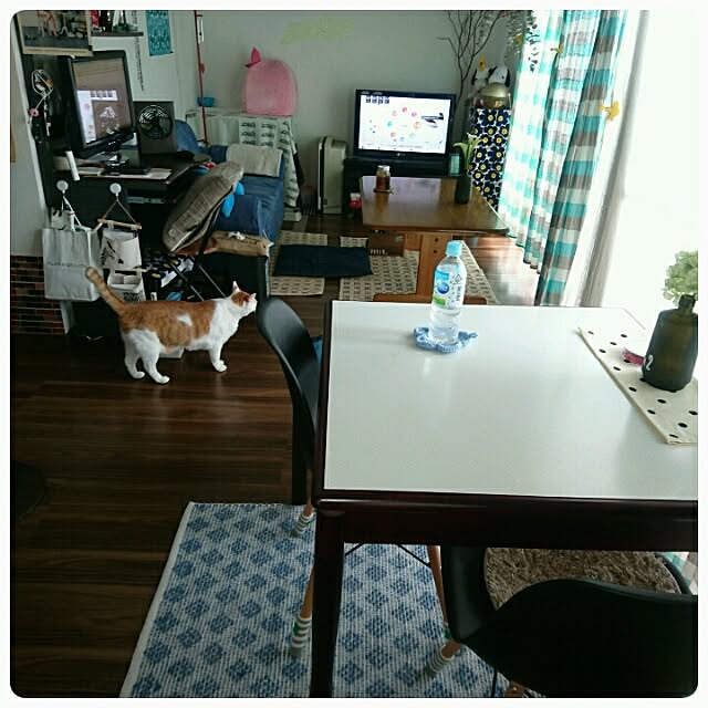 porinさんの実例写真
