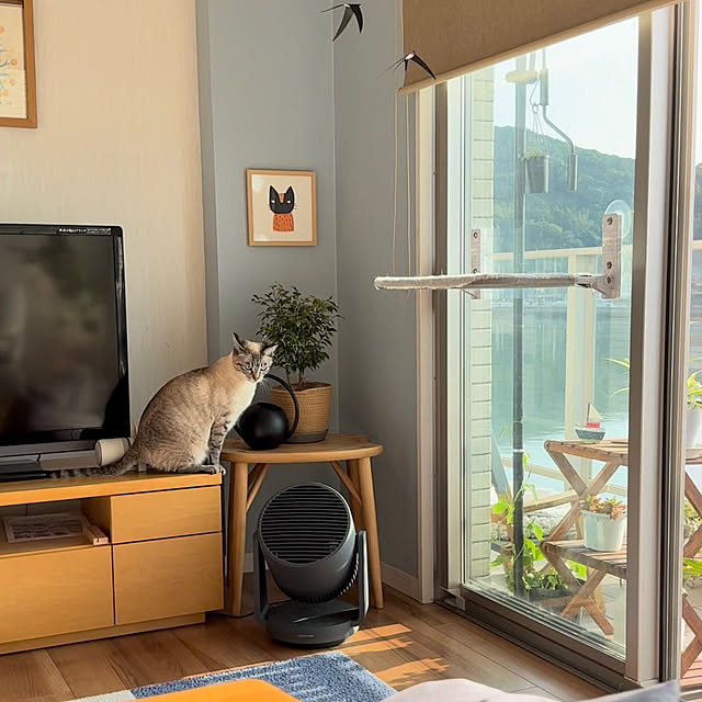 amさんの実例写真