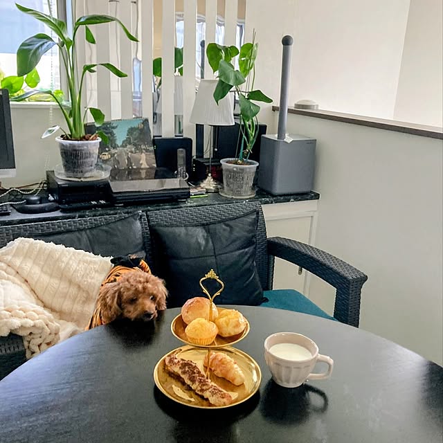 MOMOMAMAさんの実例写真