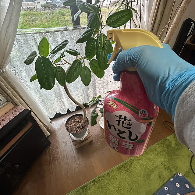 ritsukoさんの部屋