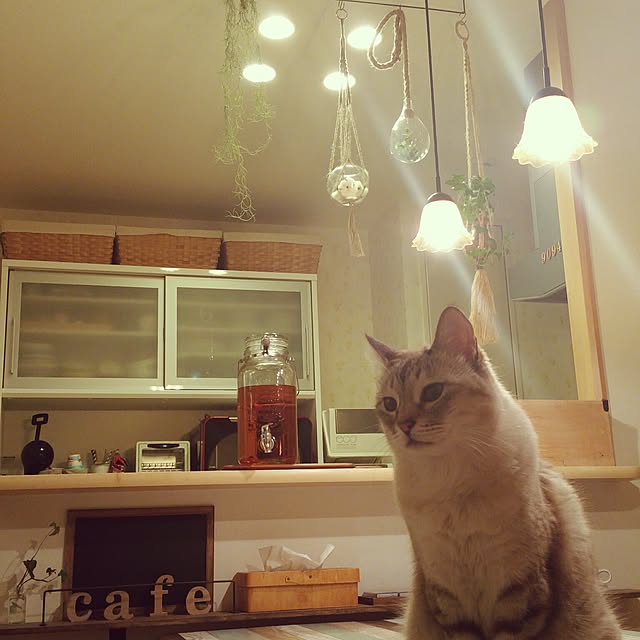 tomoppさんの実例写真