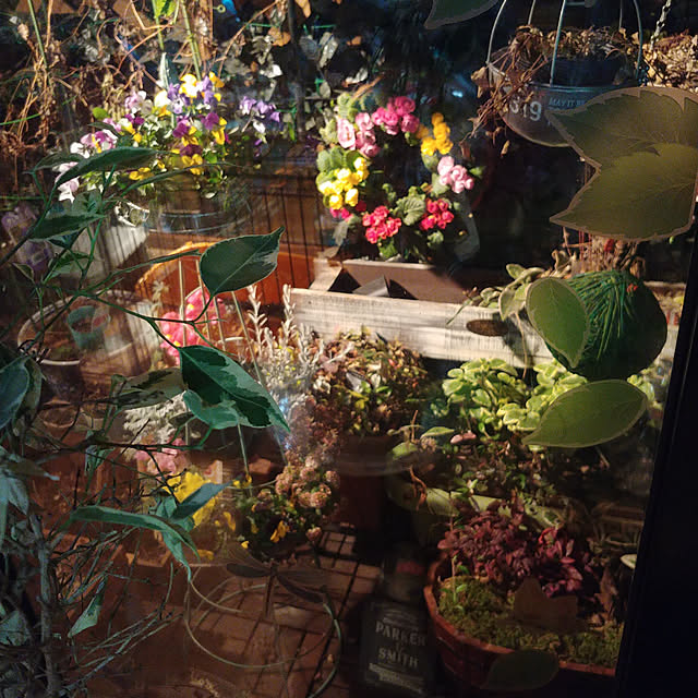 hiro4649さんの実例写真