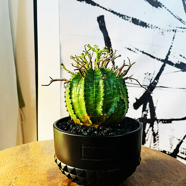 c.kさんの実例写真