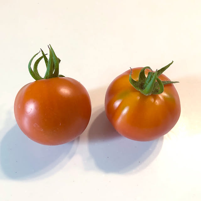 tomoさんの部屋