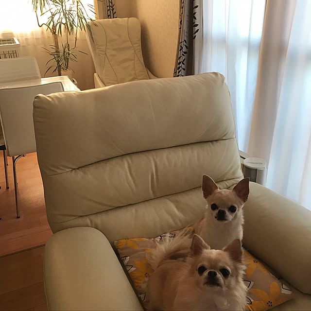 rosemaryさんの実例写真