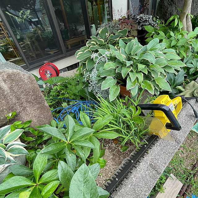buchiさんの実例写真