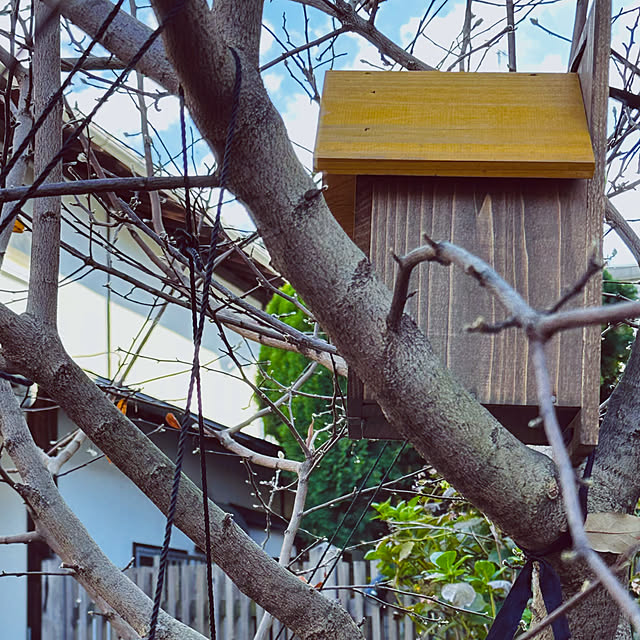 chacoさんの部屋