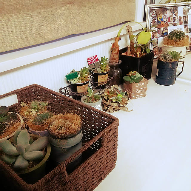 Nashuryueさんの実例写真