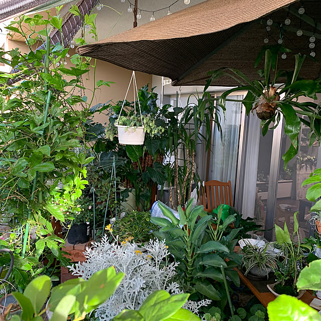 Aqettyさんの部屋
