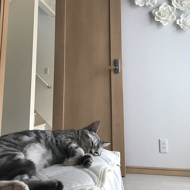 tajaboさんの実例写真