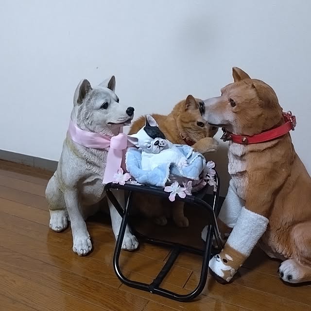 NOAHさんの部屋