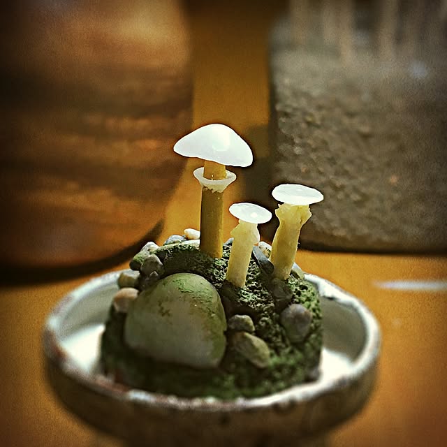 ramuchop3000さんの実例写真