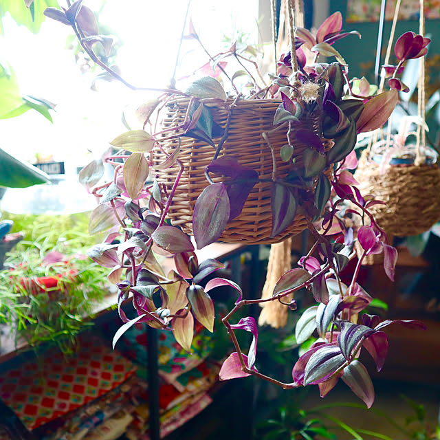 rukakoさんの部屋