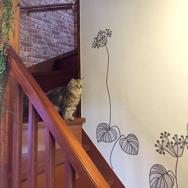 butachanさんの実例写真