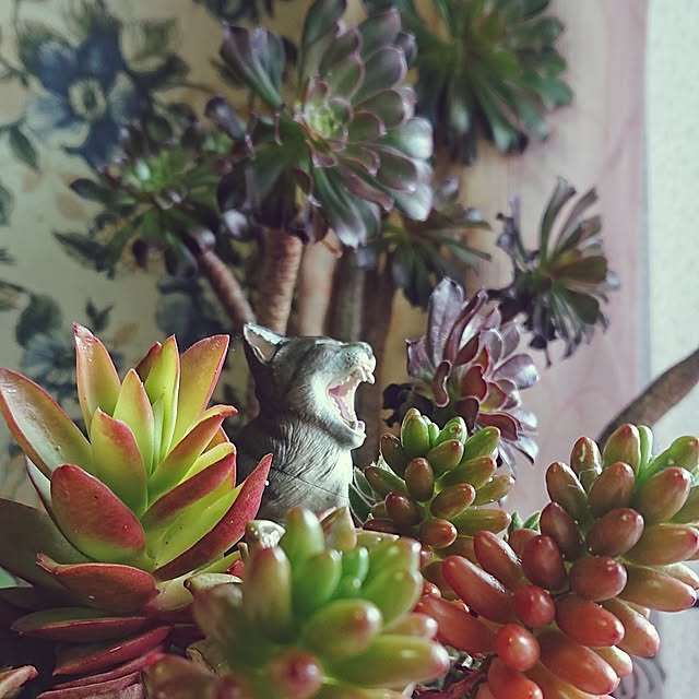 NOAHさんの実例写真