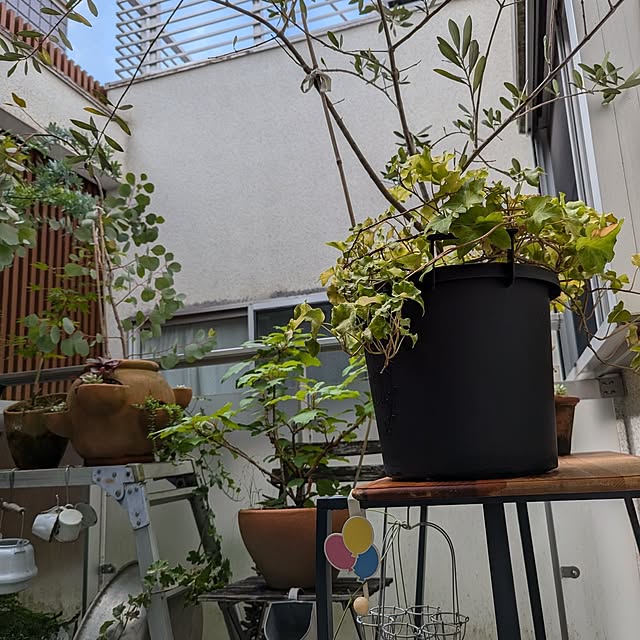 Happy-smileさんの部屋