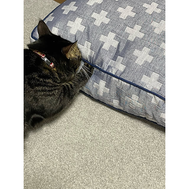 momocchiさんの実例写真