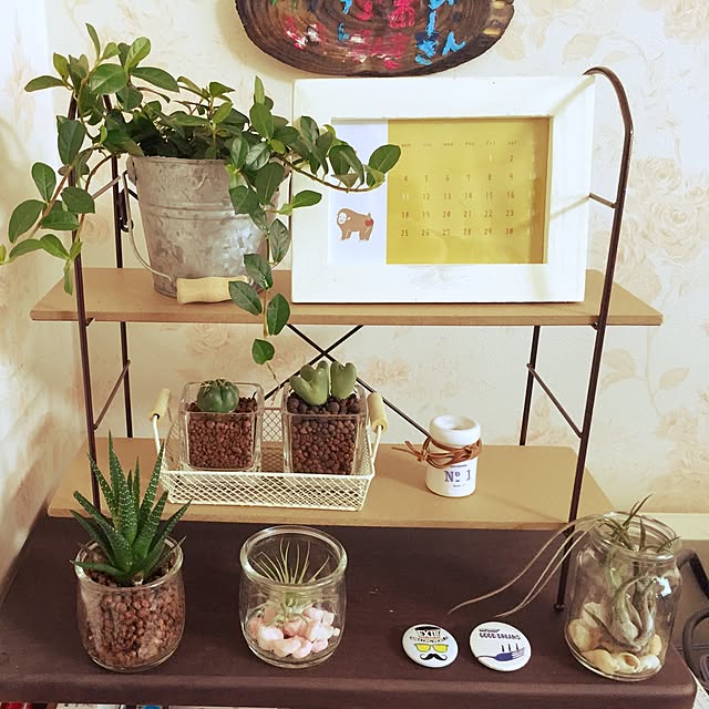 棚/観葉植物/3COINS/雑貨/100均のインテリア実例 - 2015-12-20 14:34:49