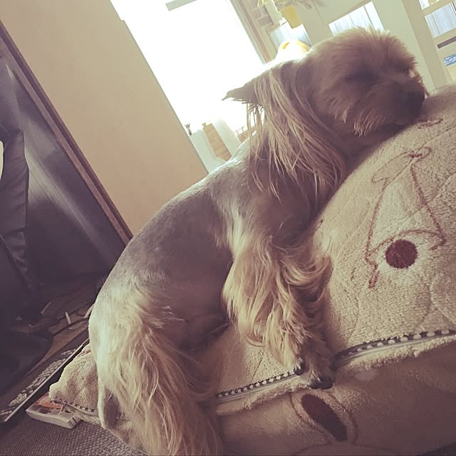 chimiさんの実例写真