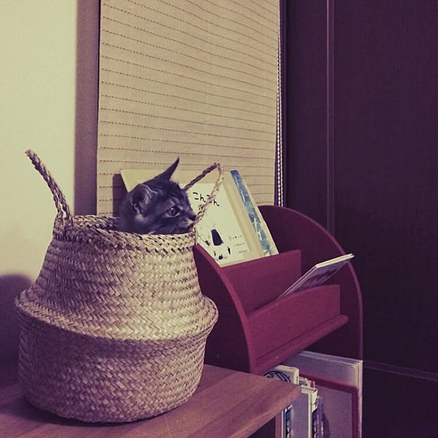 kurumin5さんの実例写真