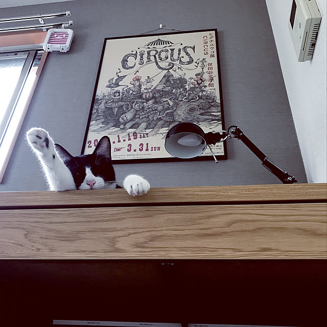 CHACHAさんの実例写真