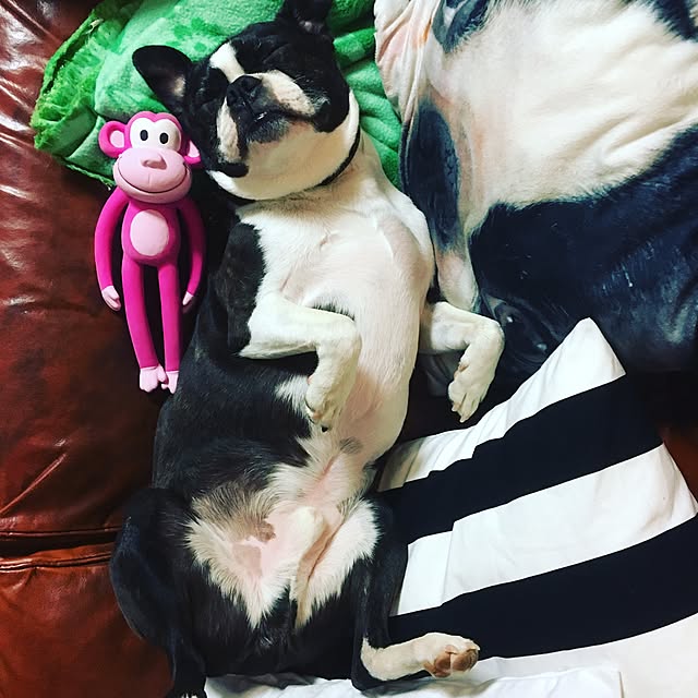 Ayaさんの実例写真