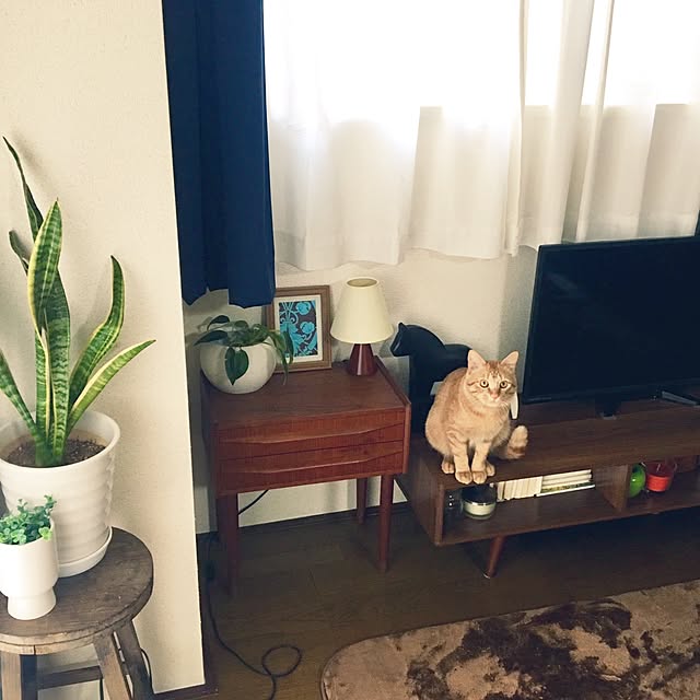 anzyさんの実例写真