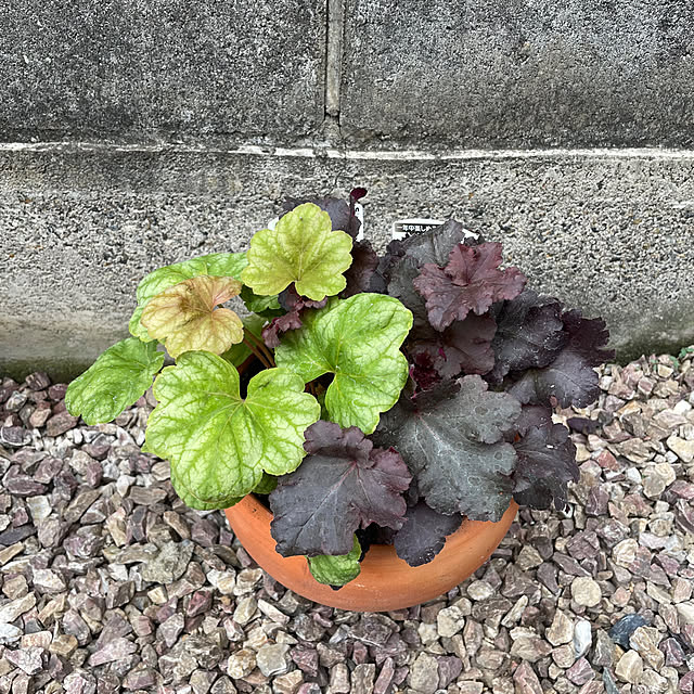 ukoさんの部屋