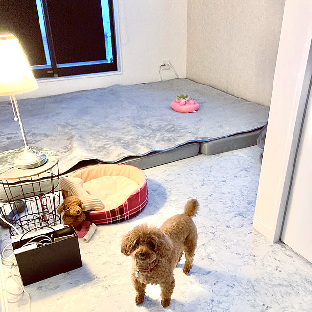 MOMOMAMAさんの部屋