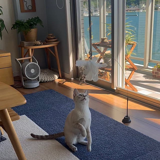 amさんの実例写真