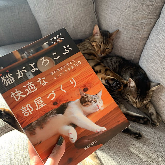 konashanさんの実例写真