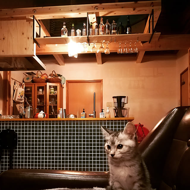 レトロ/カフェ風/リノベーション/キッチンのインテリア実例 - 2019-07-28 12:45:22