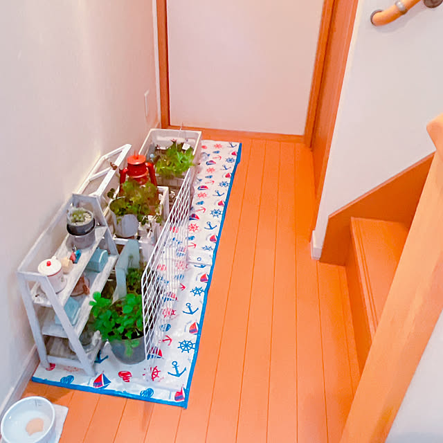 moolさんの部屋