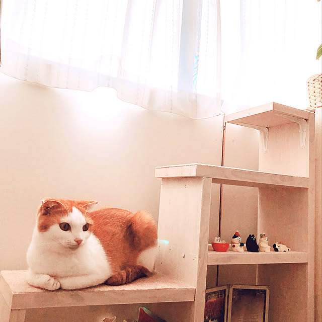ak0118さんの実例写真