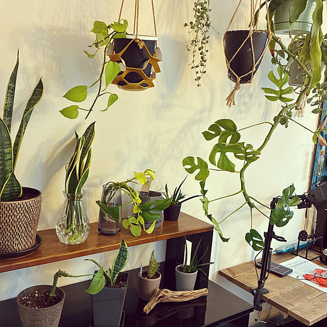 PEKO3_3さんの実例写真