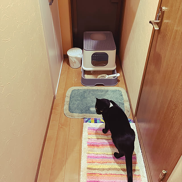 jijiさんの実例写真